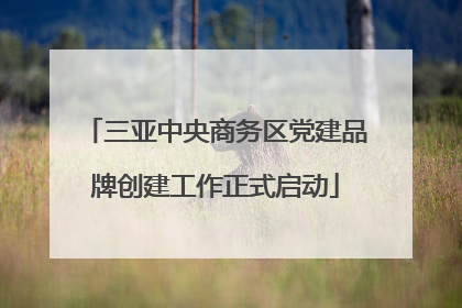 三亚中央商务区党建品牌创建工作正式启动