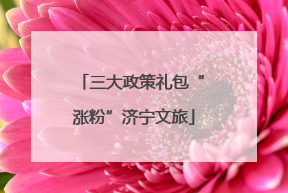 三大政策礼包“涨粉”济宁文旅