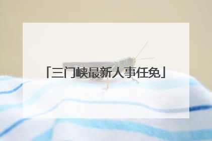 三门峡最新人事任免