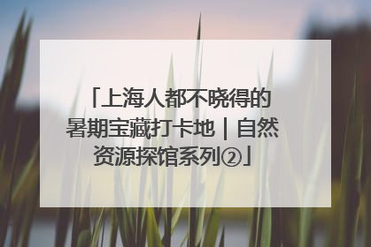 上海人都不晓得的 暑期宝藏打卡地｜自然资源探馆系列②