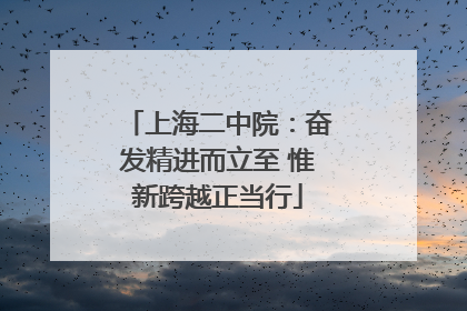 上海二中院：奋发精进而立至 惟新跨越正当行