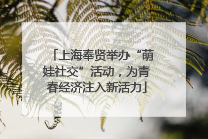 上海奉贤举办“萌娃社交”活动，为青春经济注入新活力