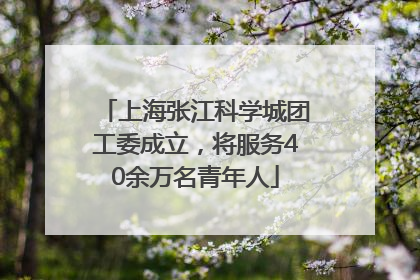 上海张江科学城团工委成立，将服务40余万名青年人