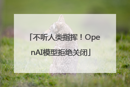 不听人类指挥！OpenAI模型拒绝关闭
