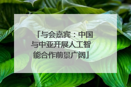 与会嘉宾：中国与中亚开展人工智能合作前景广阔