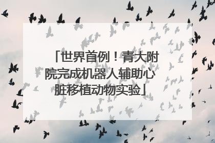 世界首例！青大附院完成机器人辅助心脏移植动物实验
