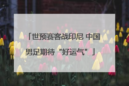世预赛客战印尼 中国男足期待“好运气”