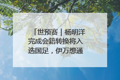 世预赛｜杨明洋完成会籍转换将入选国足，伊万想通了要打双后腰？