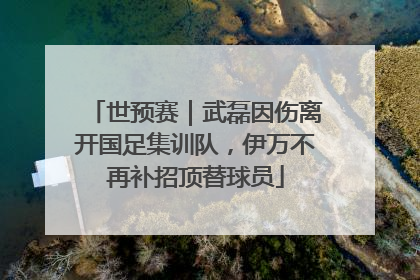 世预赛｜武磊因伤离开国足集训队，伊万不再补招顶替球员