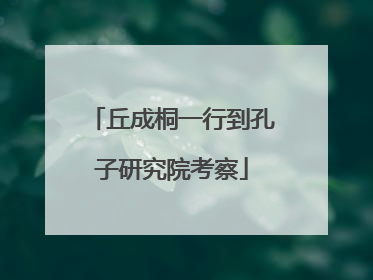 丘成桐一行到孔子研究院考察
