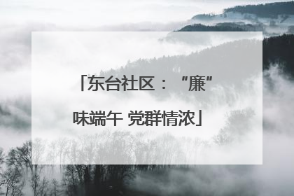 东台社区：“廉”味端午 党群情浓
