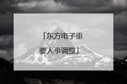 东方电子重要人事调整