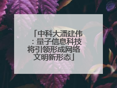 中科大潘建伟：量子信息科技将引领形成网络文明新形态