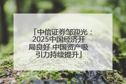 中信证券邹迎光：2025中国经济开局良好 中国资产吸引力持续提升