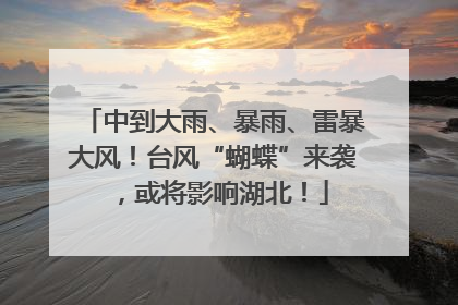 中到大雨、暴雨、雷暴大风！台风“蝴蝶”来袭，或将影响湖北！