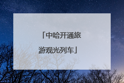 中哈开通旅游观光列车