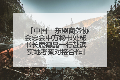 中国—东盟商务协会总会中方秘书处秘书长鹿德晶一行赴滨实地考察对接合作