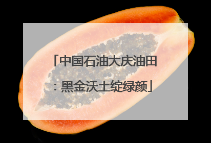 中国石油大庆油田：黑金沃土绽绿颜