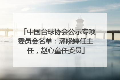 中国台球协会公示专项委员会名单：潘晓婷任主任，赵心童任委员