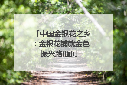 中国金银花之乡：金银花铺就金色振兴路(图)