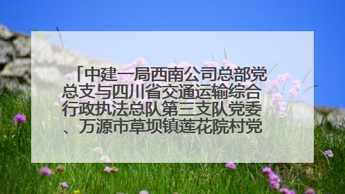 中建一局西南公司总部党总支与四川省交通运输综合行政执法总队第三支队党委、万源市草坝镇莲花院村党支部开展党建联建