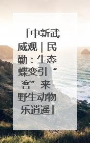 中新武威观｜民勤：生态蝶变引“客”来 野生动物乐逍遥