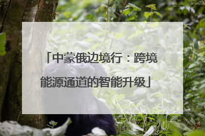 中蒙俄边境行：跨境能源通道的智能升级
