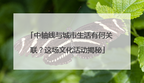 中轴线与城市生活有何关联？这场文化活动揭秘
