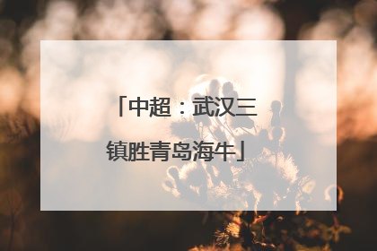 中超：武汉三镇胜青岛海牛