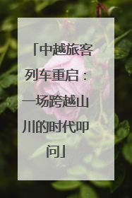 中越旅客列车重启：一场跨越山川的时代叩问