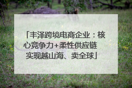 丰泽跨境电商企业：核心竞争力+柔性供应链 实现越山海、卖全球