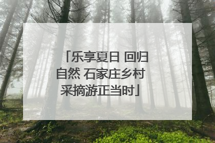 乐享夏日 回归自然 石家庄乡村采摘游正当时