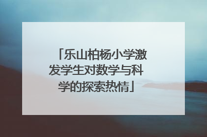 乐山柏杨小学激发学生对数学与科学的探索热情
