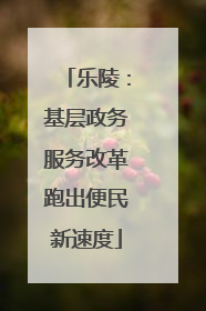 乐陵：基层政务服务改革跑出便民新速度