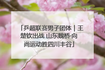 乒超联赛男子团体｜王楚钦出战 山东魏桥·向尚运动胜四川丰谷