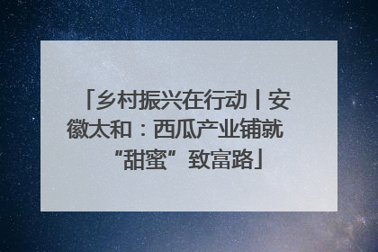 乡村振兴在行动丨安徽太和：西瓜产业铺就“甜蜜”致富路