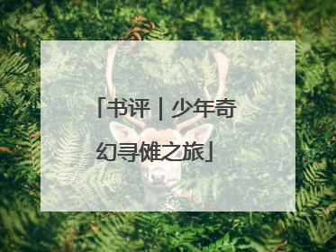 书评｜少年奇幻寻傩之旅