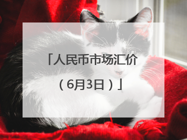 人民币市场汇价（6月3日）