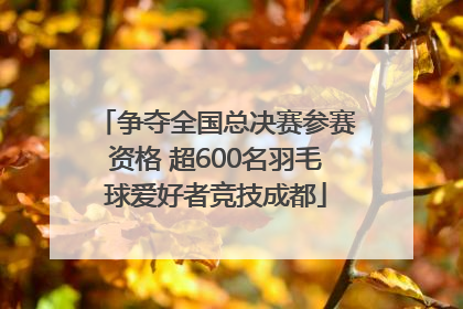 争夺全国总决赛参赛资格 超600名羽毛球爱好者竞技成都