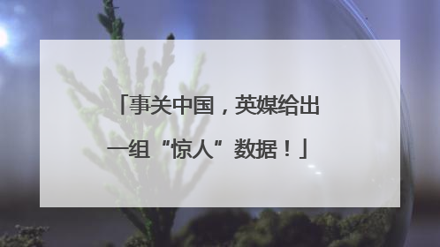 事关中国，英媒给出一组“惊人”数据！