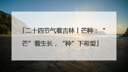 二十四节气看吉林丨芒种：“芒”着生长，“种”下希望