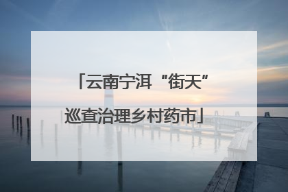 云南宁洱“街天”巡查治理乡村药市