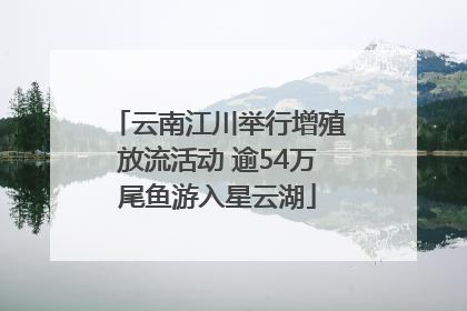云南江川举行增殖放流活动 逾54万尾鱼游入星云湖