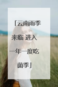 云南雨季来临 进入一年一度吃菌季