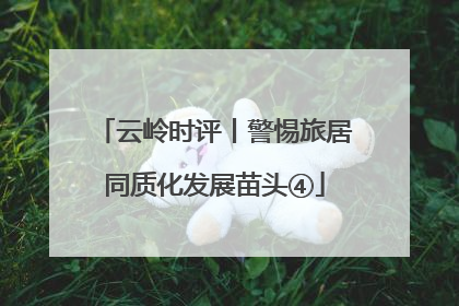 云岭时评丨警惕旅居同质化发展苗头④