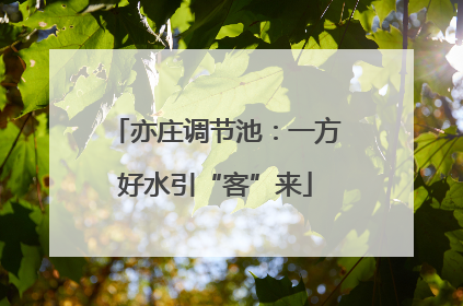 亦庄调节池：一方好水引“客”来