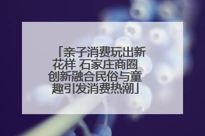 亲子消费玩出新花样 石家庄商圈创新融合民俗与童趣引发消费热潮