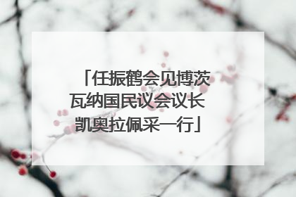 任振鹤会见博茨瓦纳国民议会议长凯奥拉佩采一行