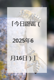 今日辟谣（2025年6月16日）