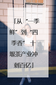 从“一季鲜”到“四季香” 十堰茶产业冲刺百亿